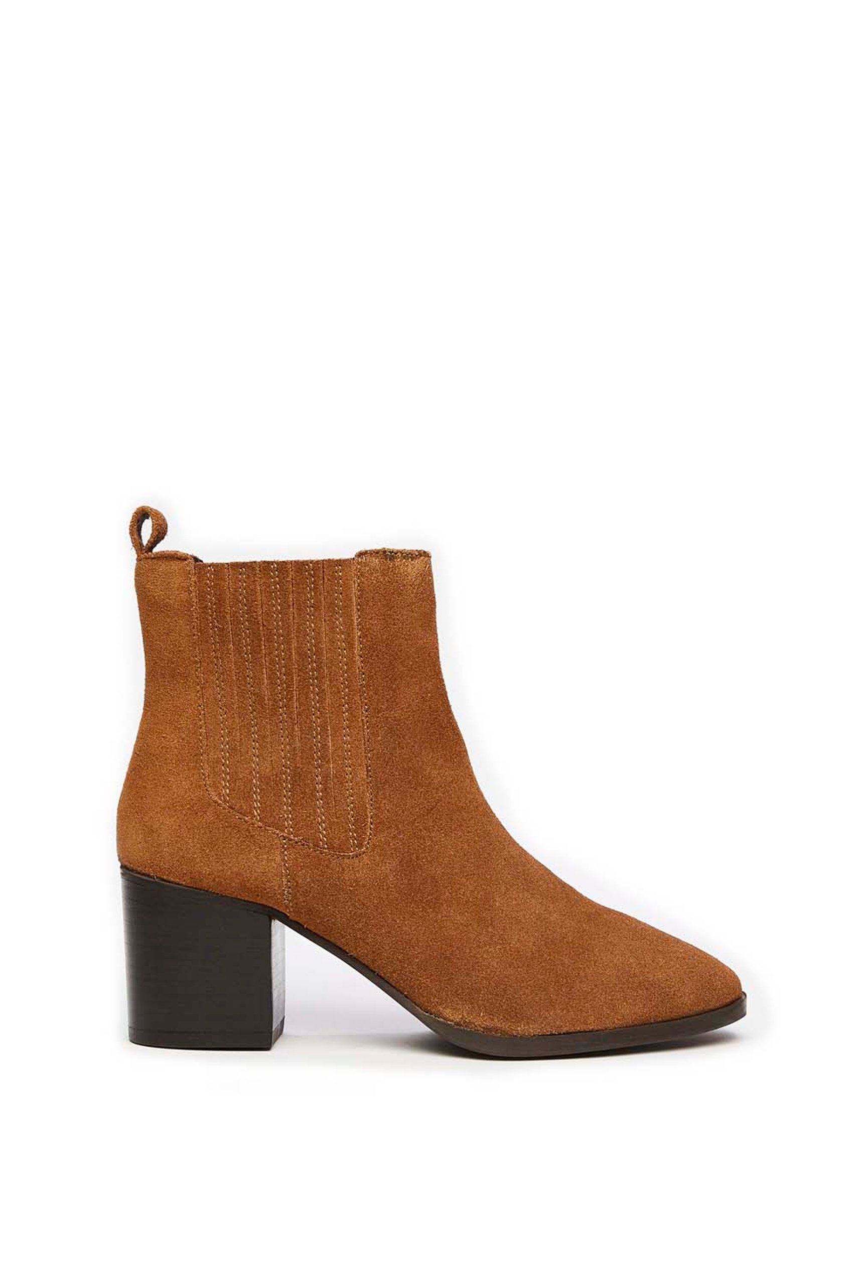 Bruin