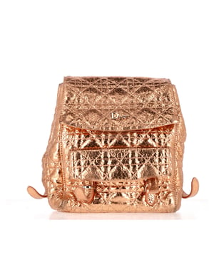 Dior Stardust Rugzak in Gouden Leer