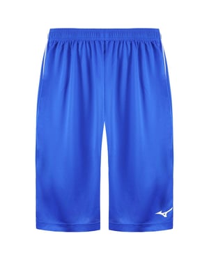 Mizuno Authentic BB Heren Blauwe Shorts