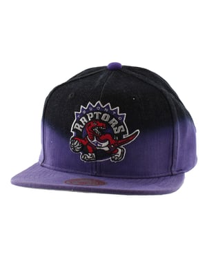 Mitchell & Ness Toronto Raptors Heren Cap