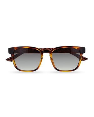 Ted Baker TB1635 Surf 122 polished dark tortoise grey gradient zonnebril