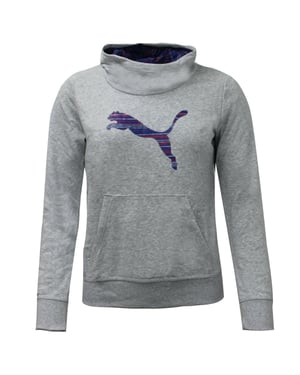 Puma FUN TD Grijs Junior Sweat met capuchon