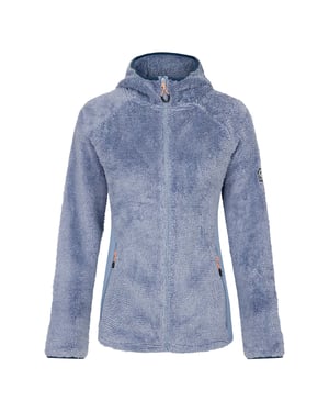 Dare 2B Dames/Dames Torrek Mountain Pro Midlayer (Geregend)