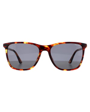 Police SPLD45 Origins 46 08XW medium shiny havana grijs groene zonnebril