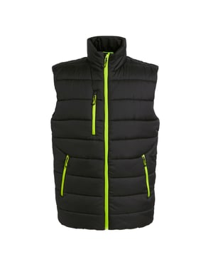 Regatta Thermische bodywarmer Navigate voor heren (Zwart/Lijkgroen)