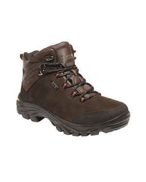 Regatta Grote buitenshuis Heren Burrell Leren Wandelschoenen (Fawn Brown)