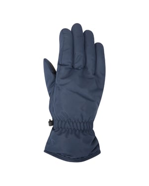 Mountain Warehouse Dames/Dames Skihandschoenen (Marine)