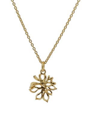Orphelia Dames 925 Sterling Zilveren Ketting met Hanger - Goud ZH-6027/2