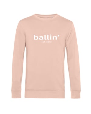 Ballin Est. 2013 Sweaters Basic Sweater Roze