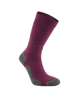 Craghoppers Trek Merino Wollen Sokken voor volwassenen (Wilde bosbes paars)
