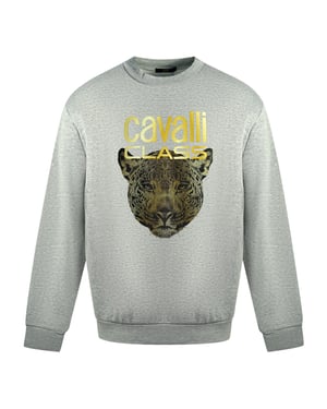 Cavalli Class Leopardprint Logo Grijze Trui