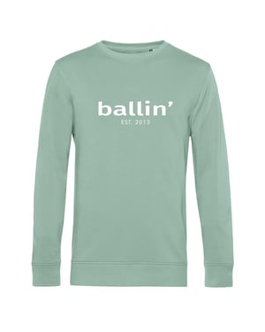 Ballin Est. 2013 Sweaters Basic Sweater Groen