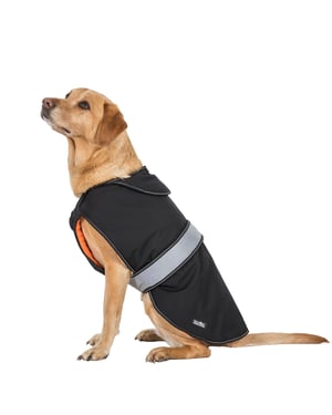 Trespass Softshell-hondenjas met Butch Touch-sluiting (Zwart)