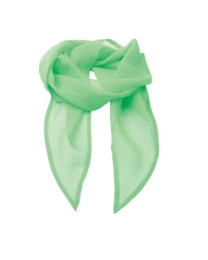 Premier Dames/Dames Chiffon Sjaal (Apple)