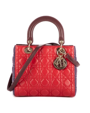Medium Lady Dior Zip PM Handtas