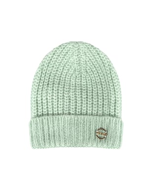 Pinko Cap Ermellino Vrouw groen