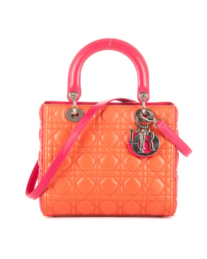 Medium Lady Dior Zip PM Handtas