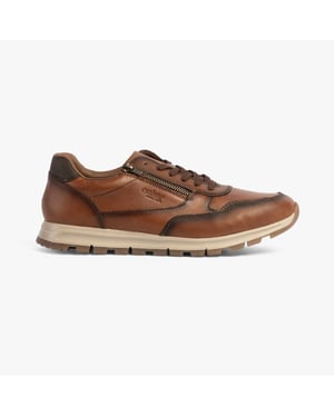 B0504-24 Heren Schoenen Bruin
