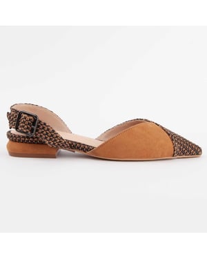Montevita Ballerina'S Baleri3 Bruin