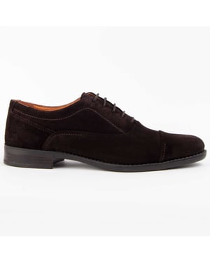 Purapiel Oxford Schoen Dario Bruin