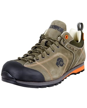 Heren Wandelschoenen Bruin