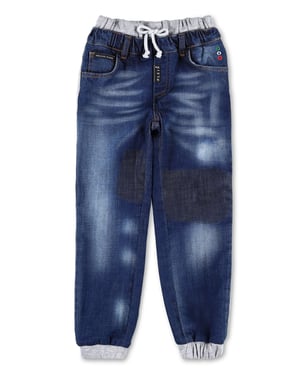 Denim Broek Iconic Plein