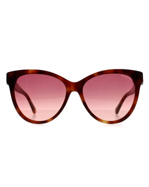 Moncler ML0283 52T havana bordeaux gradiÃ«nt zonnebril
