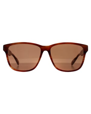 Ted Baker TB8232 151 bruin hoornen zonnebril