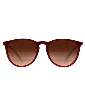 Ray-Ban RB4171 Erika 6815A5 gepolijst rubber violet roze gradiÃ«nt bruin zonnebril