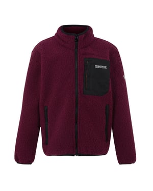 Regatta Kinder/Kids Frankie Full Zip Fleecejack (Donker Pimento)