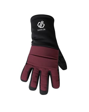 Dare 2B Freeride waterdichte handschoenen voor volwassenen (Afb.)