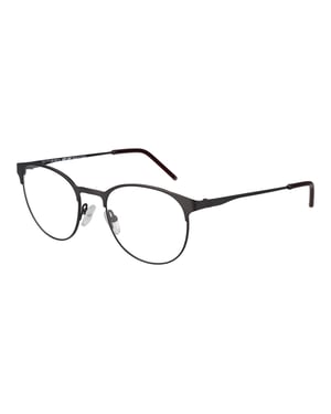 Citizen Brilframe CTZ1901 151 49
