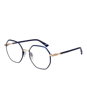 Bulget Brilframe BG1762 06A 50