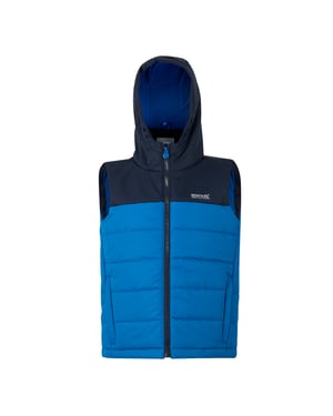 Regatta Lofthouse Bodywarmer voor kinderen/Kinderen (Marine/Snorkelblauw)