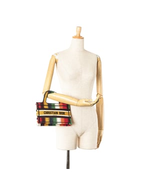 Dior Boek Tote Multikleur Gestreept