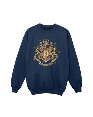 Harry Potter Meisjes Goud Zweinstein Sweatshirt (Marineblauw)