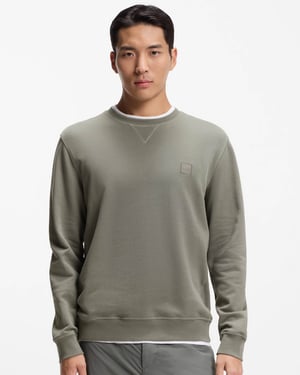 Westart Sweatshirt in Grijs