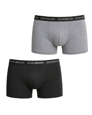 Verpakking van 2 Heren Elastische Katoenen Boxers AA596