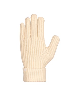 Trespass Dames/Dames Dom Winterhandschoenen (Crème)