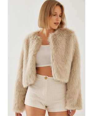 Boxy Crop Nepvachtjas