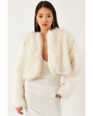Boxy Crop Nepalen Jassen