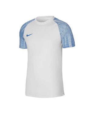 Nike Heren Academy Dri-FIT Jersey (Wit/blauw)