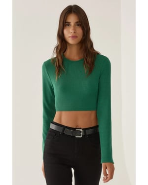 Slim Fit Crop Top