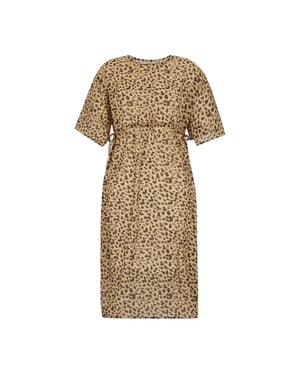 Regatta Dames/Dames Avorno Abstract Luipaardprint Kaftan (Geel/Bruin)