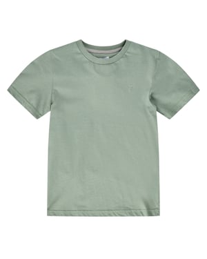 Farah Geborduurd uniseks Adult Denny Logo Jersey T-shirt (Groen)