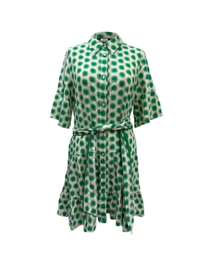 Diane von Furstenberg Beata mini-jurk met plooien en print in groene katoen
