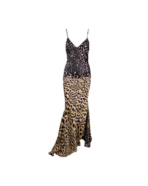 Roberto Cavalli Dierenprint Lange Jurk - '00s