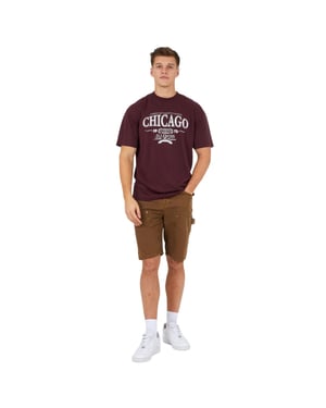 Brave Soul Heren casual korte broek van geweven stof met ruime pasvorm (Bruin)