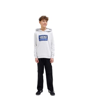 Jack And Jones Kinderen/Kinderen Logan Regular Hoodie (Wit gemêleerd)