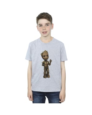 Marvel Jongens Ik Ben Groot Golf Positie T-Shirt (Sportgrijs)